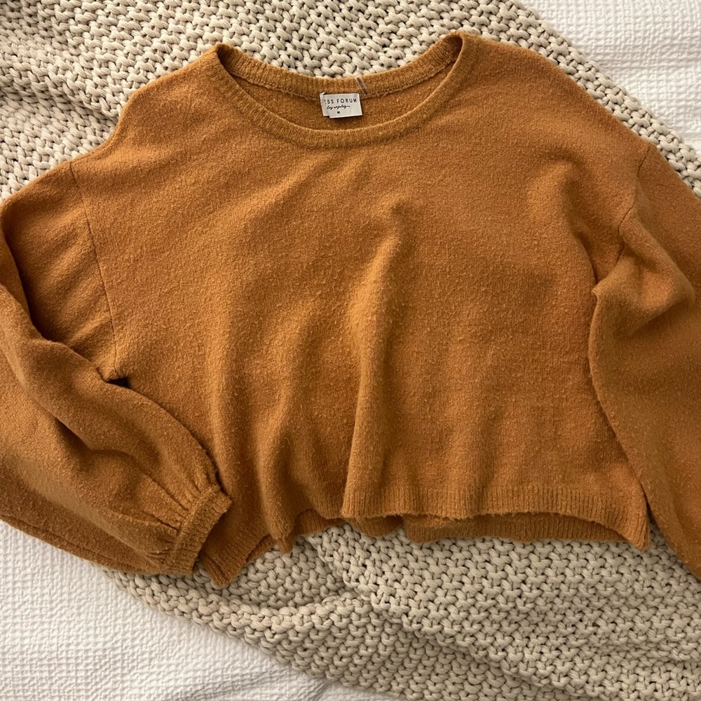 Rust color puff sleeve fuzzy sweater